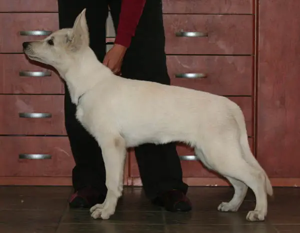 Fenna vom Haus Eckenfels