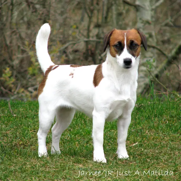 Jarnee/JR Just A Matilda