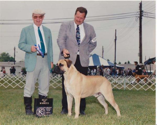 CH Leatherneck s Buffalo Bull Codi