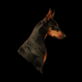 NobleDoberman